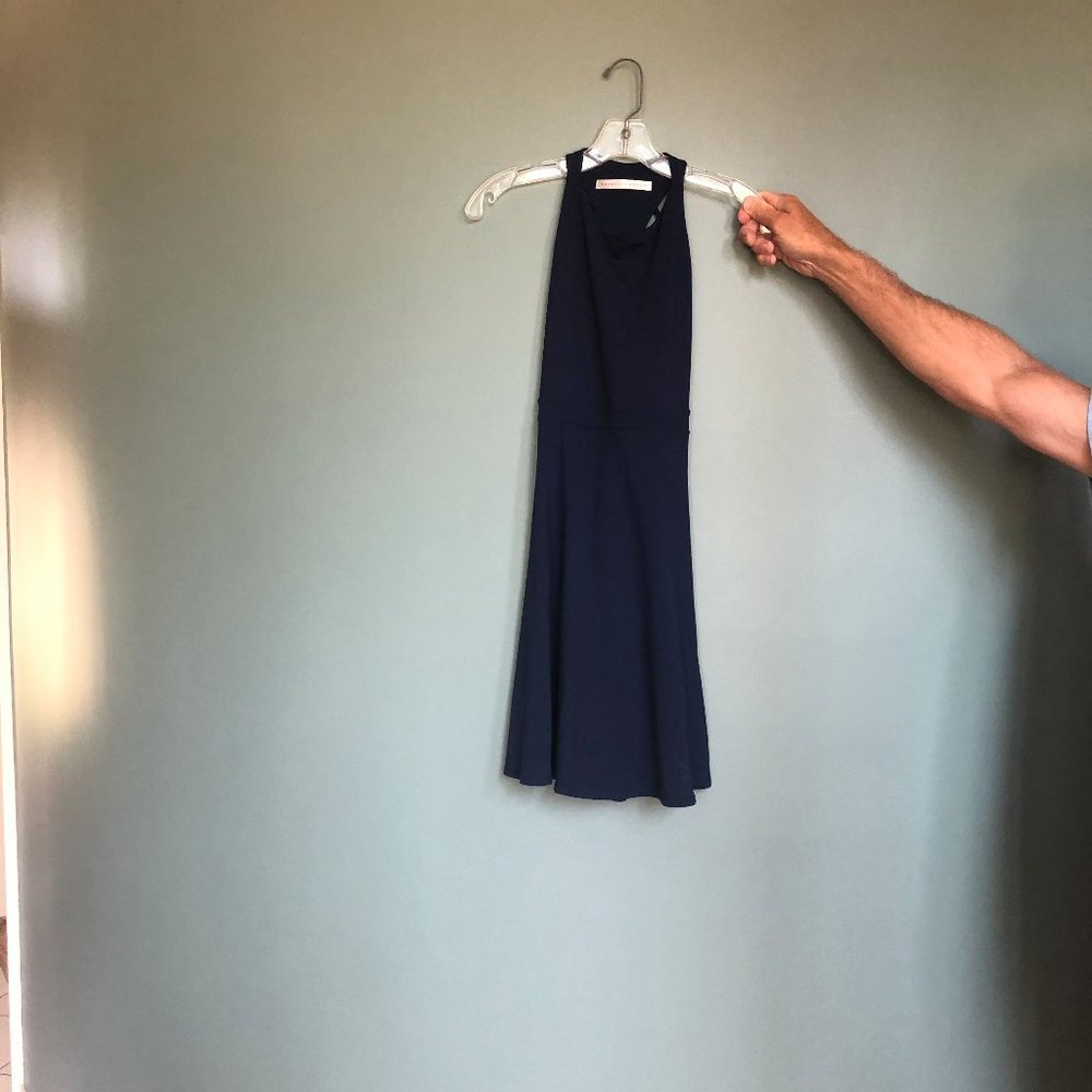 Susana Monaco Dress